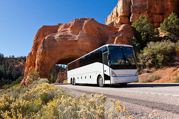 yukness ledge alpine route bus